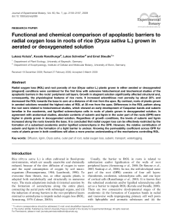 Functional and chemical comparison of apoplastic barriers to radial