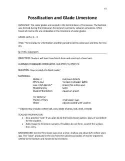Fossilization in Glade Limestone - Middle Tennessee State University