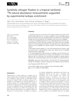 Symbiotic nitrogen fixation in a tropical rainforest