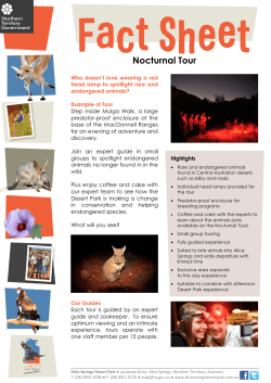 Nocturnal Tour - Alice Springs Desert Park