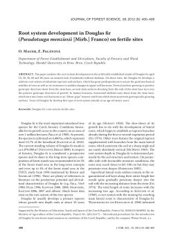 Root system development in Douglas fir (Pseudotsuga menziesii