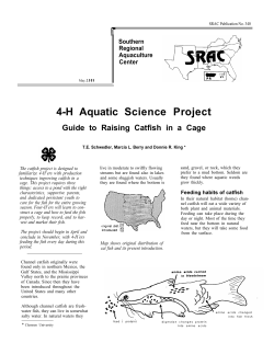 4-H Aquatic Science Project: Guide to Raising Catfish in a Cage