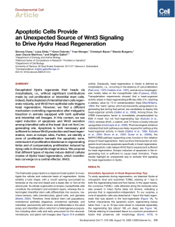 Apoptotic Cells Provide an Unexpected Source of Wnt3 Signaling to