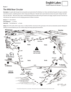 The Wild Boar Circular