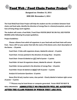 Food Web / Food Chain Poster Project