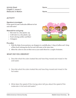 activity what did you observe?