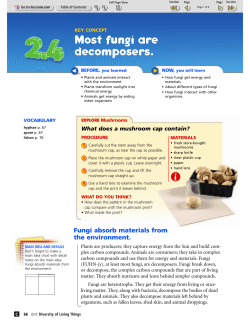 2.4 Most fungi are decomposers