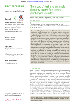 The impact of fossil data on annelid phylogeny inferred from discrete