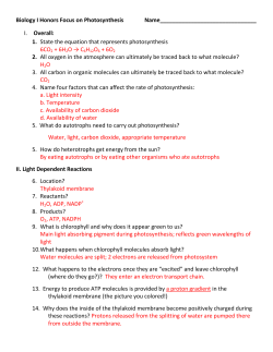 Biology I Honors Focus on Photosynthesis