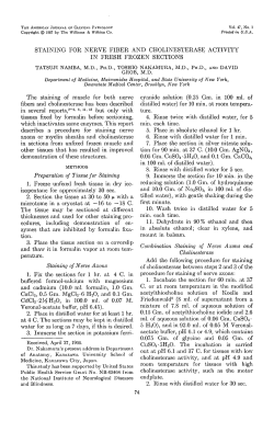 STAINING FOR NERVE FIBER AND CHOLINESTERASE ACTIVITY