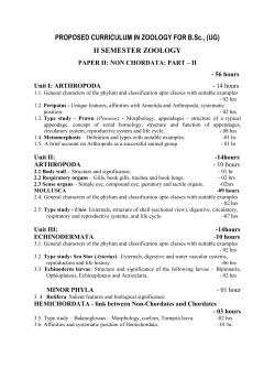 Paper 2 and 3 - Bangalore University