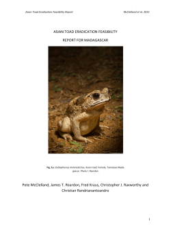 ASIAN TOAD ERADICATION FEASIBILITY REPORT FOR