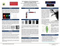 An Investigation of The Photo-behavioral Response of Euglena
