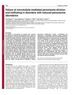 Failure of microtubule-mediated peroxisome division