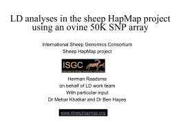 LD analyses in the sheep HapMap project using an ovine 50K SNP