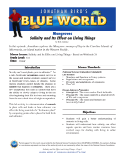 Mangroves Salinity and Its Effect on Living Things