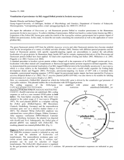 Number 55, 2008 9 Visualization of peroxisomes via SKL