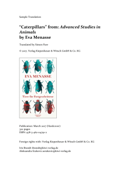 Menasse_sample translation