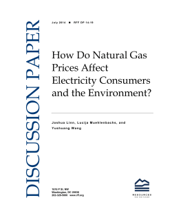 How Do Natural Gas Prices Affect Electricity Consumers and the