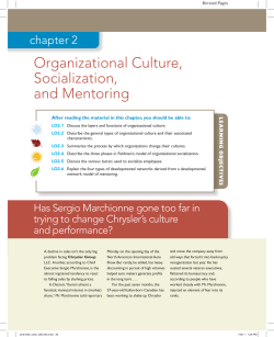 Organizational Culture, Socialization, and Mentoring