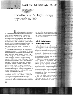 Endothermy: A High-Energy Approach to Life