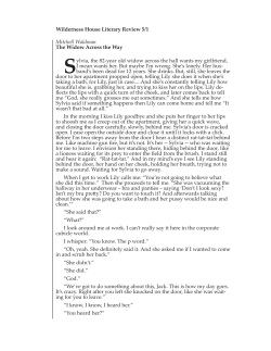 Mitchell Waldman The Widow Across the Way