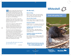 Amisk Self Guiding Trail