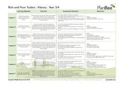 Rich and Poor Tudors Overview