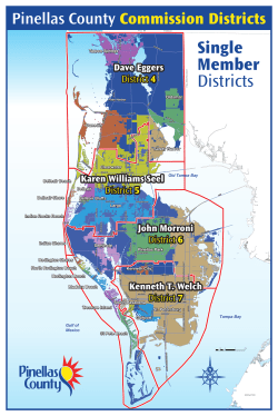 Single Member Districts