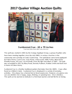 2017 Quaker Village Auction Quilts