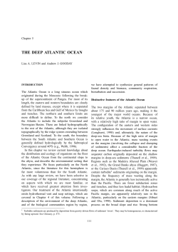 the deep atlantic ocean