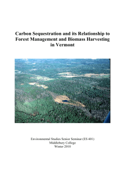 Carbon Sequestration and its Relationship to Forest