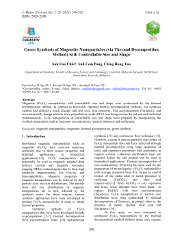 Green Synthesis of Magnetite Nanoparticles (via Thermal