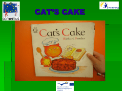 CAT`S CAKE