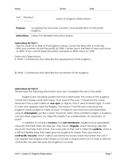 H35-Euglena Observations