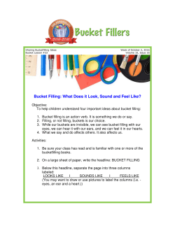 Bucket Filling: What Does it t Filling: What Does it Look, Sound and