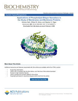 Applications of Phospholipid Bilayer Nanodiscs in the Study of