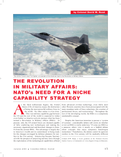 the revolution in military affairs: nato`s need for a niche capability
