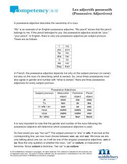 Les adjectifs possessifs (Possessive Adjectives)