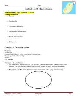 Bio2_Lab2_Protista_Spring2014