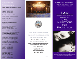 Civil Injunctions for Protection