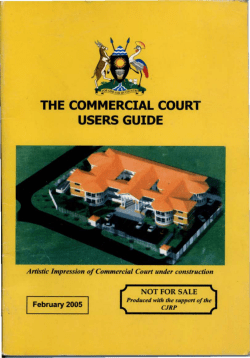 The Commercial Court Users` Guide