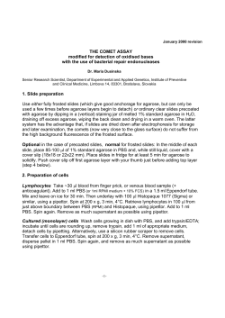 THE COMET ASSAY modified for detection of oxidised bases with