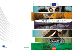 larger than elephants - European Commission