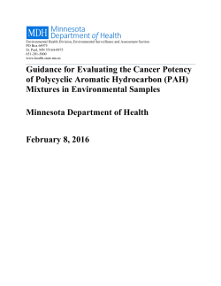 Guidance for Evaluating the Cancer Potency of Polycyclic Aromatic