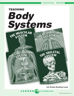 Teaching Body Systems