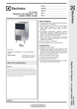 75kg/24h with 30kg bin - Air cooled, Hollow Cubes
