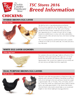 Breed Information