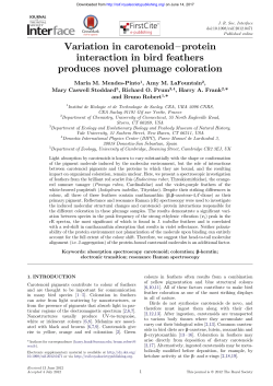 Print - Journal of The Royal Society Interface