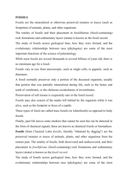 FOSSILS Fossils are the mineralized or otherwise preserved